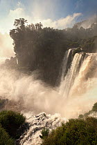 Iguazu Falls, Iguazu National Park, Brazil, January 2014.