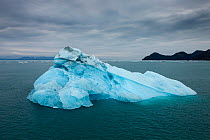 Blue iceberg, Prince William Sound, Alaska, USA. June 2013.