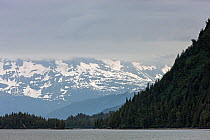 Landscape of the Prince William Sound, Alaska, USA. June 2013.