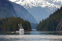 Salmon fishing boat, Prince William Sound, Alaska, USA. June 2013.