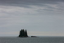Small Island with Spruce trees (Picea), Prince William Sound, Alaska, USA. June 2013.
