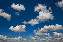 Cumulus clouds, Serra da Canastra National Park, Brazil. January 2014.
