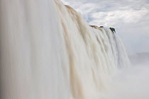 Iguazu Falls, Iguazu National Park, Brazil, January 2014.