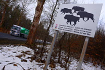 Road sign alerting drivers to the presence of European bison (Bison bonasus) near the road, Drawsko region, Western Pomerania, Poland, February 2014.