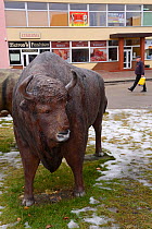 Fibreglass statues of European bison (Bison bonasus) in a village in the Drawsko area, Western Pomerania, Poland, February 2014.