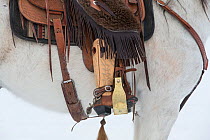 Close up of boot in stirrup with spur, on Quarter horse, Shell, Wyoming, USA.