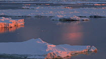 View from an icebreaker moving through an ice floe at sunset, Peterson Bank, Antarctica.