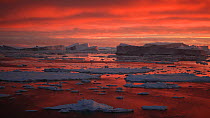 View of icebergs and pack ice at sunset, seen from a moving boat, Antarctica.