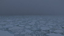 View of pack ice in thick fog, seen from a moving boat, Antarctica.
