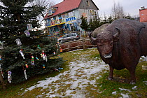 Fibreglass statues of European bison (Bison bonasus) in a village in the Drawsko area, Western Pomerania, Poland, February 2014.