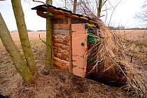 A simple wildlife watching hide to view red deer, near Stepnica, Oder delta, Poland, February 2014.