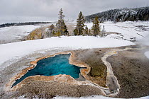 Hot Spring surrounded by snow, Yellowstone National Park, Wyoming, USA. January 2011.