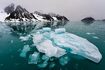 Icebergs in Holmiabukta fjord, Svalbard, Norway. July 2011.