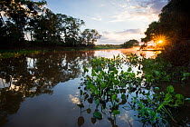 Three Brothers River at sunrise, Mato Grosso, Pantanal, Brazil.  August 2011.