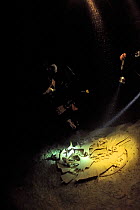 Divers in 'Turtle Cove' pointing torches at corpse of skeleton of turtle which got lost and couldn't get out of the cave, Koror, Palau. Philippine Sea. April 2010.