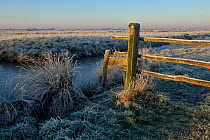 Morning frost, Breton marsh, Brittany West France, December 2013.