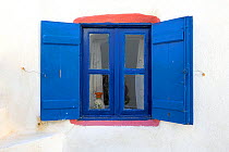 Windows and blue shutters, Santorini / Thira Island, Greece, May 2009.