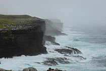 Storm battering north facing volcanic cliffs on Enderby Island. Auckland Island group, New Zealand, February 2014.
