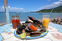 A plate of sea food, Santa Catarina State, Brazil, September 2010.