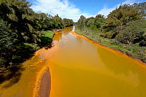 A polluted river, Santa Catarina, Brazil, September 2010.