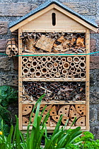 Man-made 'insect hotel' offering artificial nesting facilities for solitary bees and cavities for hibernating ladybirds and butterflies.