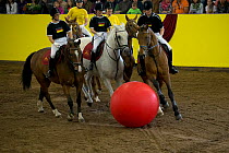 The German national team and the Marbach team play equestrian football during the stud's 500th anniversary celebrations. Marbach National Stud, Swabian Alps, near Reutlingen, in Baden-Wurttemberg, Ger...
