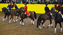 Marbach's Quadrille in traditional uniform, mounted on Wurttemberg horses, performing during the stud's 500th anniversary celebrations. Marbach National Stud, Swabian Alps, near Reutlingen, in Baden-W...