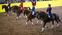 Marbach's Quadrille in traditional uniform, mounted on Wurttemberg horses, performing during the stud's 500th anniversary celebrations. Marbach National Stud, Swabian Alps, near Reutlingen, in Baden-W...