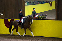 A Marbach rider in traditional uniform, mounted on a Wurttemberg stallion, performing during the stud's 500th anniversary celebrations. Marbach National Stud, Swabian Alps, near Reutlingen, in Baden-W...