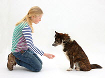 Girl offering to shake hands with mongrel dog. Model released