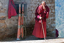 Old Buddhist monk looking at the preparations for the Torgya festival. Galdan Namge Lhatse Monastery, Tawang, Arunachal Pradesh, India. January 20104.