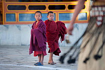 Young monks watching Zamcham (one of the monastic dances). This dance is performed to safeguard the venue, which has been neutralized by the preceding Phagcham (pig dance). Torgya festival. Galdan Nam...