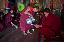 Young monk serving Yak tea during pudja break. Torgya festival. Galdan Namge Lhatse Monastery, Tawang, Arunachal Pradesh, India. January 2014.