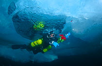 Diver with flowers for underwater celebration. Reflection can be seen under the ice in air bubbles made by the diver. Lake Baikal, Russia, March 2013.