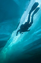 Diver exploring crack in ice under the surface, Lake Baikal, Russia, April 2013. Model released.