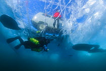 Diver swims under clear transparent ice (1m thick) with minivan and person visible above. Lake Baikal, Russia, March 2012.
