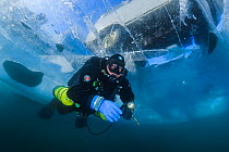 Diver swims under clear transparent ice (1m thick) with minivan visible above. Lake Baikal, Russia, March 2012.