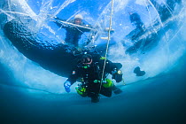 Diver swims under clear transparent ice (1m thick) with person visible on surface above. Lake Baikal, Russia, March 2012.