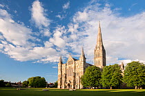 Salisbury Cathedral in evening light, Salisbury, Wiltshire, UK. July 2014.