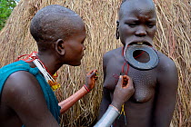Suri / Surma woman creating ritual scarification on the chest of another young woman, Omo river Valley, Ethiopia, September 2014.