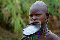 Portrait of Suri / Surma woman wearing lip plate in her lower lip. Omo river Valley, Ethiopia, September 2014.