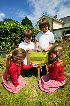 Primary school children in school garden looking at plaque from the Friends of the Earth national 'Bee Friendly' campaign,South Wales,UK, July 2014. MRDELETE