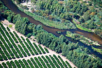 Aerial photograph of the Olifants River showing the intensive agriculture along its course, a threat to the endemic fish species found here. Citrusdal and Clanwilliam area, Western Cape, South Africa....