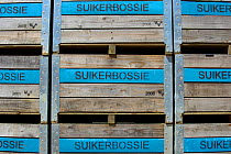 Crates for produce from Suikerbossie farm, Koue Bokkeveld / Cedarberg region, South Africa.