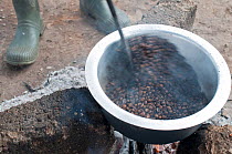 Coffee (Coffea arabica) beans roasting over a fire, Tanzania, East Africa.