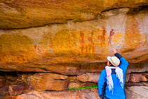 Man looking at rock art of elephant and human figures, Salmanslaagte Bushman Rock Art Trail, Clanwilliam, Cederberg Mountains, Western Cape province, South Africa, September 2012.
