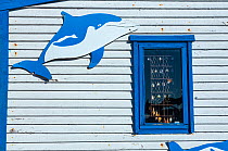 Cartoon dolphins attached to side of building, Lambert's Bay, Western Cape province, South Africa, September 2012.