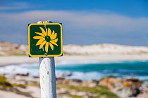 Sign for wildflowers, near the coast at Postberg Trail, West Coast National Park, Western Cape province, South Africa, September 2012.