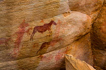 Figures of Antelope in rock art, Sevilla Bushman Rock Art Trail, Clanwilliam, Cederberg Mountains, Western Cape province, South Africa, September 2012.