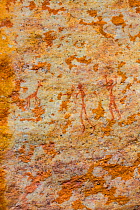 Figures of humans hunting with bows and arrows in rock art, Sevilla Bushman Rock Art Trail, Clanwilliam, Cederberg Mountains, Western Cape province, South Africa, September 2012.